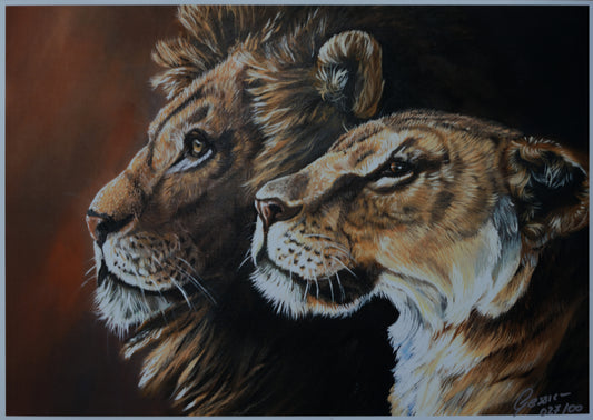 African Wildlife C.027/Löwen Print
