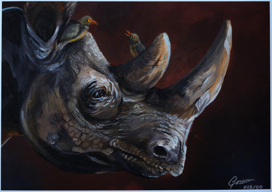 African Wildlife C.028/Nashorn Print