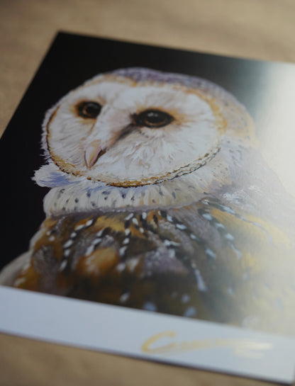 008/ Schleiereule Print