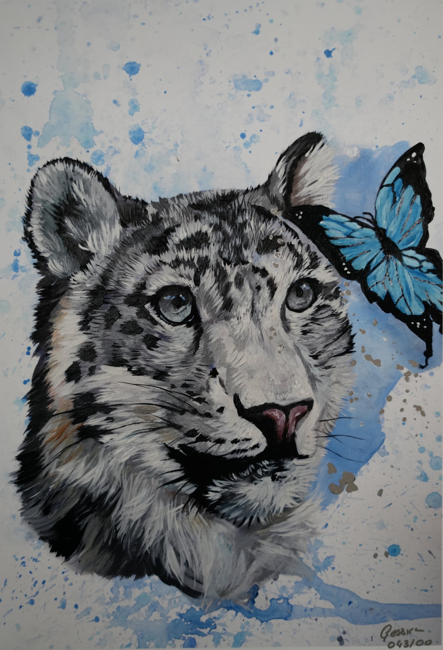 Butterflies and Friends C.043/ "Snow-leopard`s Friend" Print