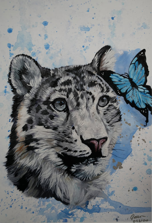 Butterflies and Friends C.043/ "Snow-leopard`s Friend" Print