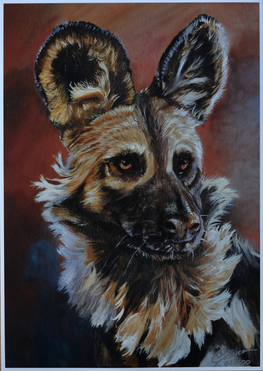 African Wildlife C.023/Afrikanischer Wildhund Print