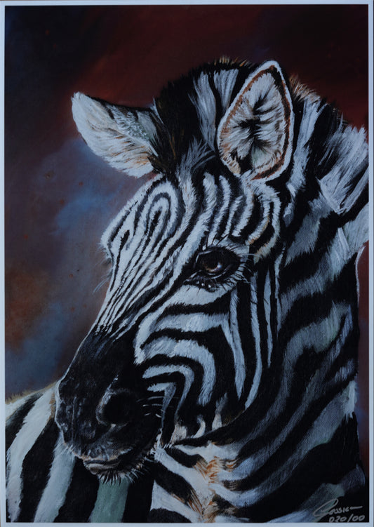 African Wildlife C.020/ Zebra Print