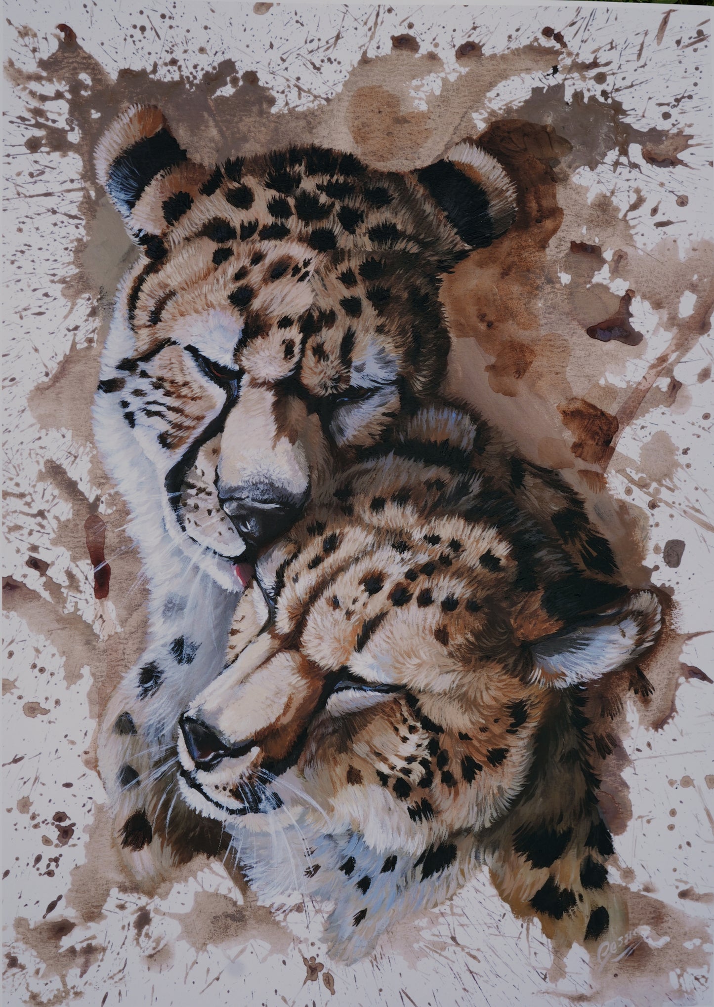 052/ Caring Cheethas Print
