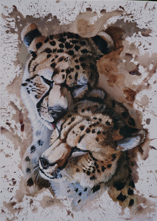 052/ Caring Cheethas Print
