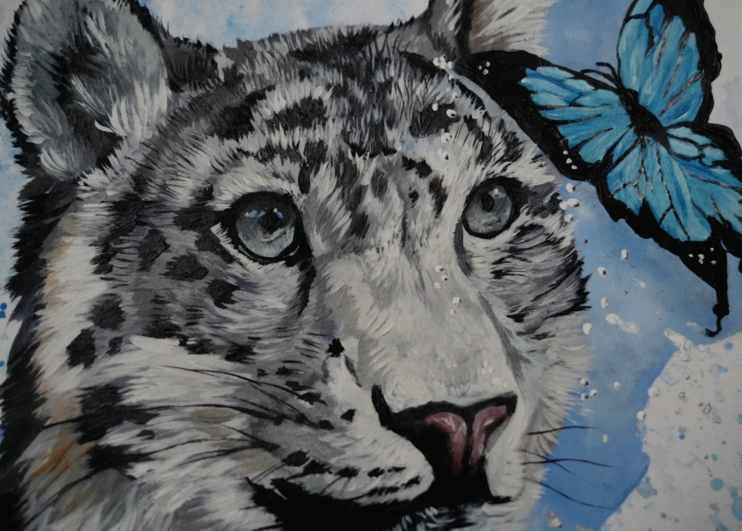 Butterflies and Friends C.043/ "Snow-leopard`s Friend" Print