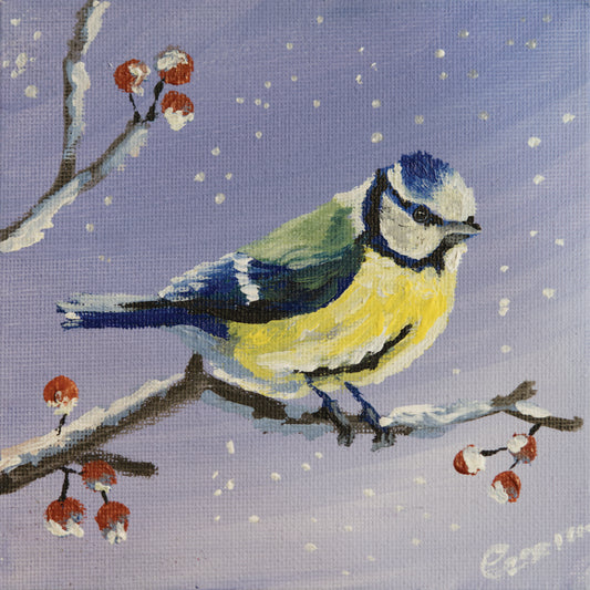 015/ Blaumeise Peter